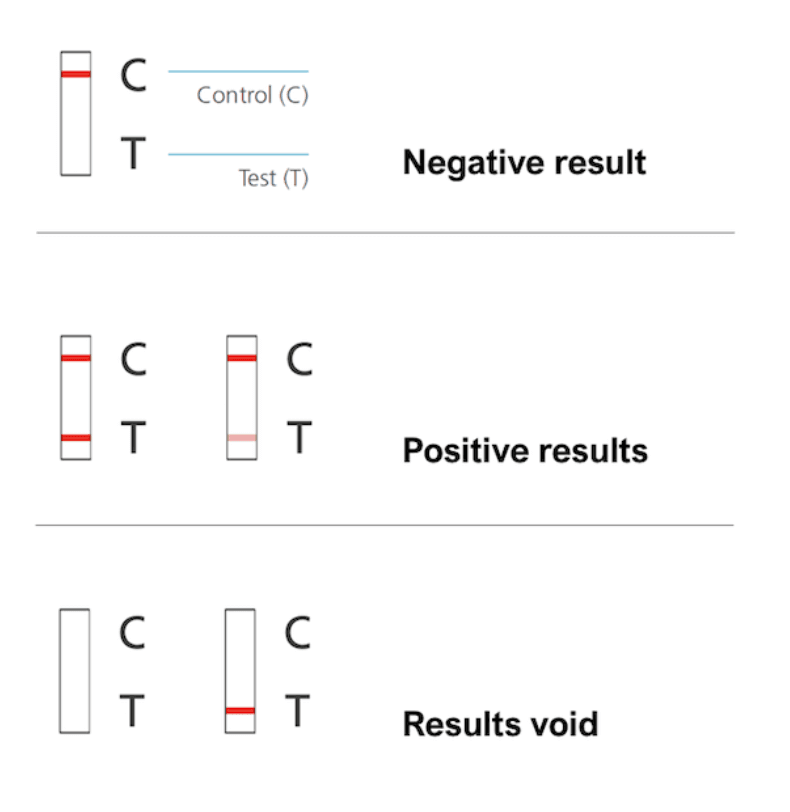 sample negative covid test results